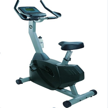 BodySolid C3 立式健身车