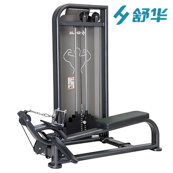SHUA/舒华 SH-6868低拉训练器