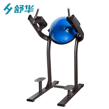 SHUA/舒华 SH-6886提腿练习器